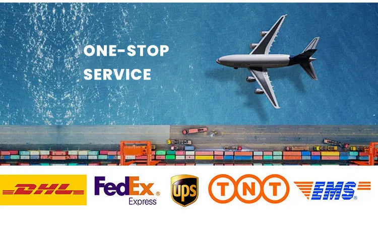 Gym Training Early Learn for Nursery School Kid's Physical Fitness Training