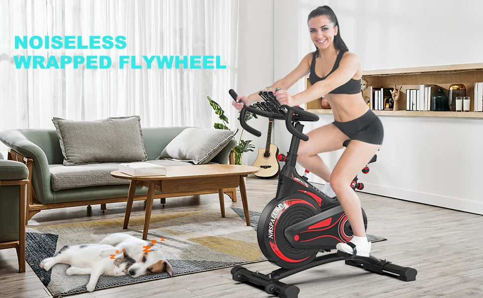 Hometrainer Gym Flywheel Magnetic Spin Exercise Bicycle Fitness Equipment Spinning Bike for Adults